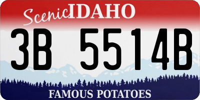 ID license plate 3B5514B