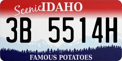 ID license plate 3B5514H