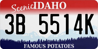 ID license plate 3B5514K