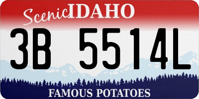 ID license plate 3B5514L