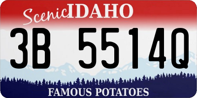 ID license plate 3B5514Q