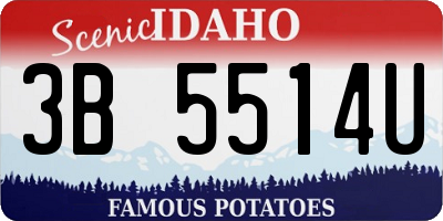 ID license plate 3B5514U