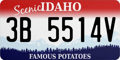 ID license plate 3B5514V