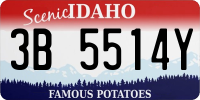 ID license plate 3B5514Y