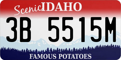 ID license plate 3B5515M