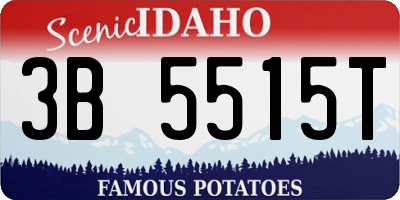 ID license plate 3B5515T