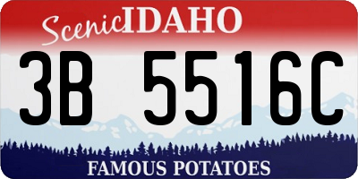 ID license plate 3B5516C