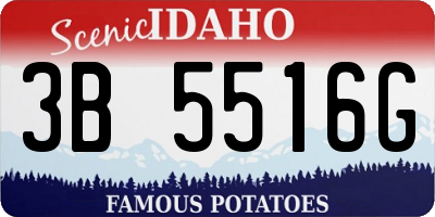 ID license plate 3B5516G