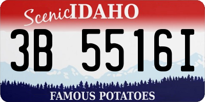 ID license plate 3B5516I
