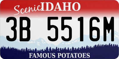 ID license plate 3B5516M