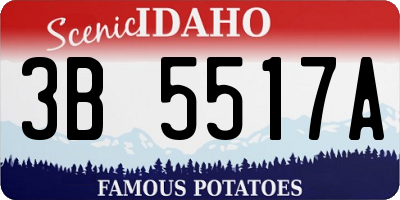 ID license plate 3B5517A