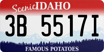 ID license plate 3B5517I