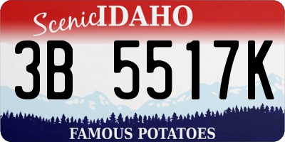 ID license plate 3B5517K