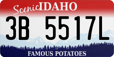 ID license plate 3B5517L