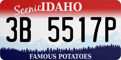 ID license plate 3B5517P