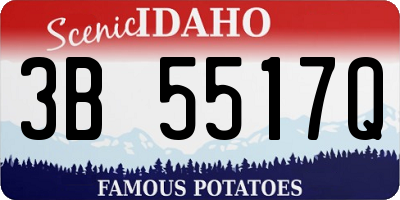 ID license plate 3B5517Q