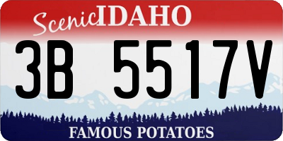 ID license plate 3B5517V