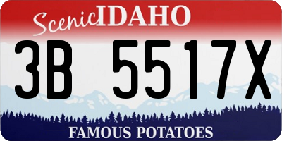 ID license plate 3B5517X