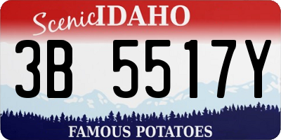ID license plate 3B5517Y