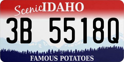 ID license plate 3B5518Q