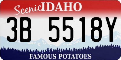 ID license plate 3B5518Y