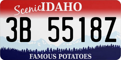 ID license plate 3B5518Z