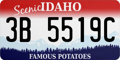 ID license plate 3B5519C