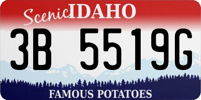 ID license plate 3B5519G