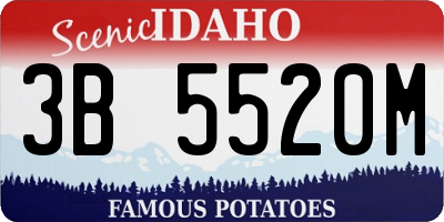 ID license plate 3B5520M
