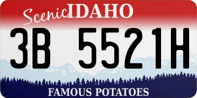 ID license plate 3B5521H