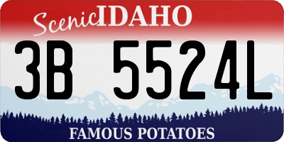 ID license plate 3B5524L