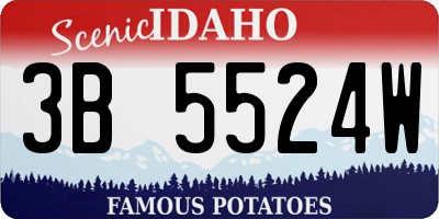 ID license plate 3B5524W
