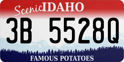 ID license plate 3B5528Q