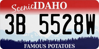 ID license plate 3B5528W