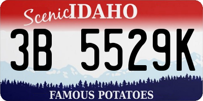 ID license plate 3B5529K