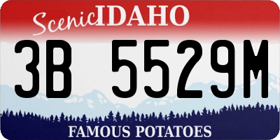 ID license plate 3B5529M