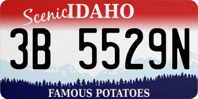ID license plate 3B5529N