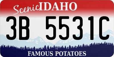 ID license plate 3B5531C