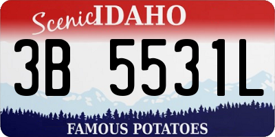 ID license plate 3B5531L