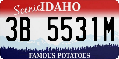 ID license plate 3B5531M