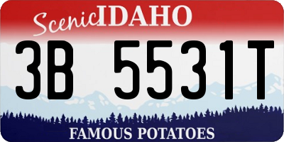 ID license plate 3B5531T
