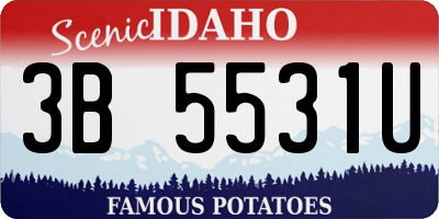 ID license plate 3B5531U