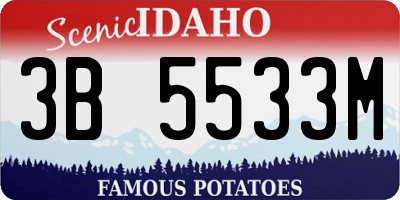 ID license plate 3B5533M