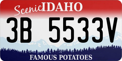 ID license plate 3B5533V