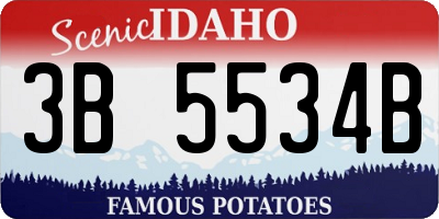 ID license plate 3B5534B