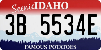 ID license plate 3B5534E