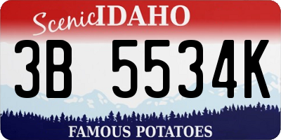ID license plate 3B5534K