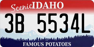 ID license plate 3B5534L