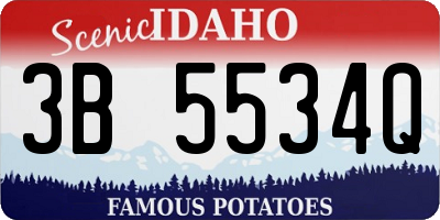 ID license plate 3B5534Q