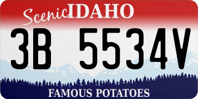 ID license plate 3B5534V